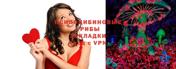 ПСИЛОЦИБИНОВЫЕ ГРИБЫ Алексеевка