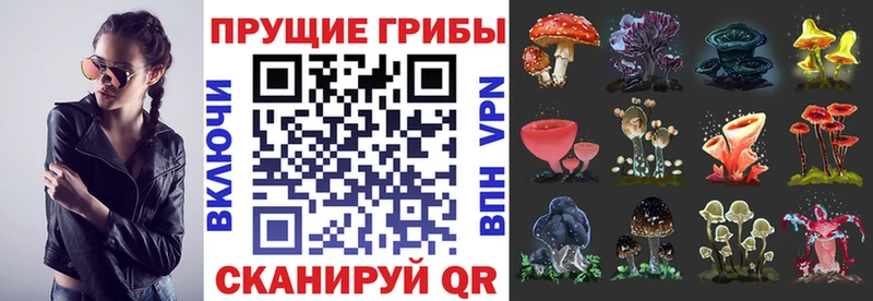 Псилоцибиновые грибы мухоморы  Купить  Бор 